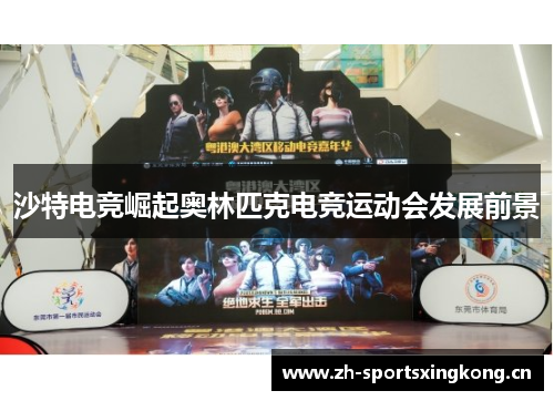 沙特电竞崛起奥林匹克电竞运动会发展前景 沙特电竞崛起奥林匹克电竞运动会发展前景