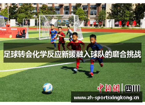 足球转会化学反应新援融入球队的磨合挑战 足球转会化学反应新援融入球队的磨合挑战